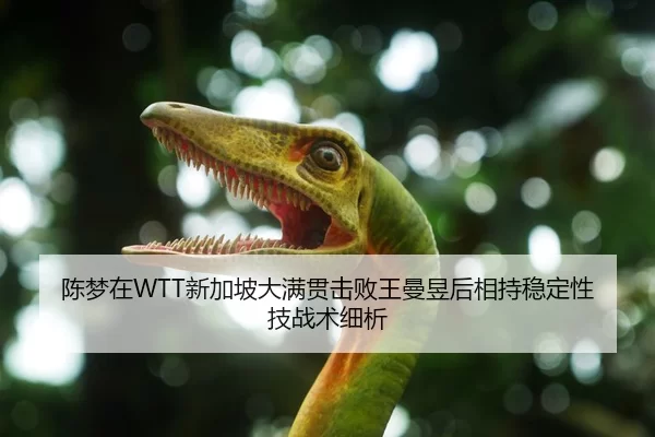 陈梦在WTT新加坡大满贯击败王曼昱后相持稳定性技战术细析