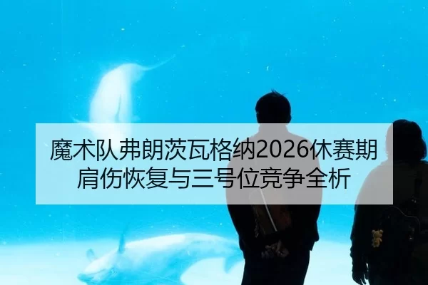 魔术队弗朗茨瓦格纳2026休赛期肩伤恢复与三号位竞争全析