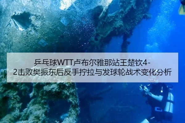 乒乓球WTT卢布尔雅那站王楚钦4-2击败樊振东后反手拧拉与发球轮战术变化分析