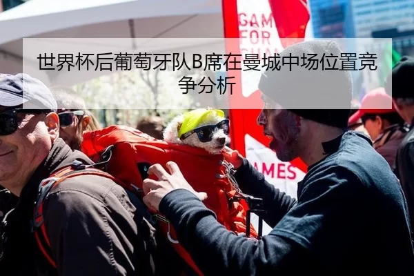 世界杯后葡萄牙队B席在曼城中场位置竞争分析